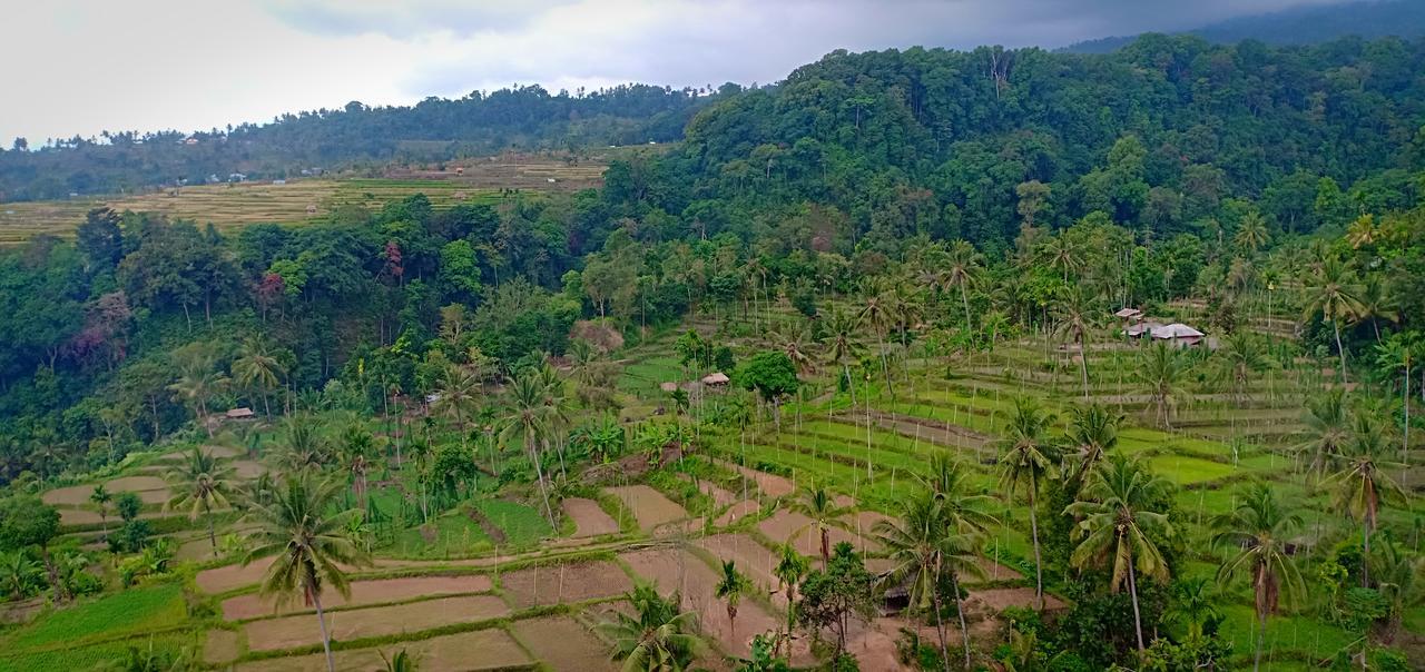 Green Rinjani Guest Houst Hotel Senaru Exterior foto